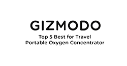 award-gizmodo